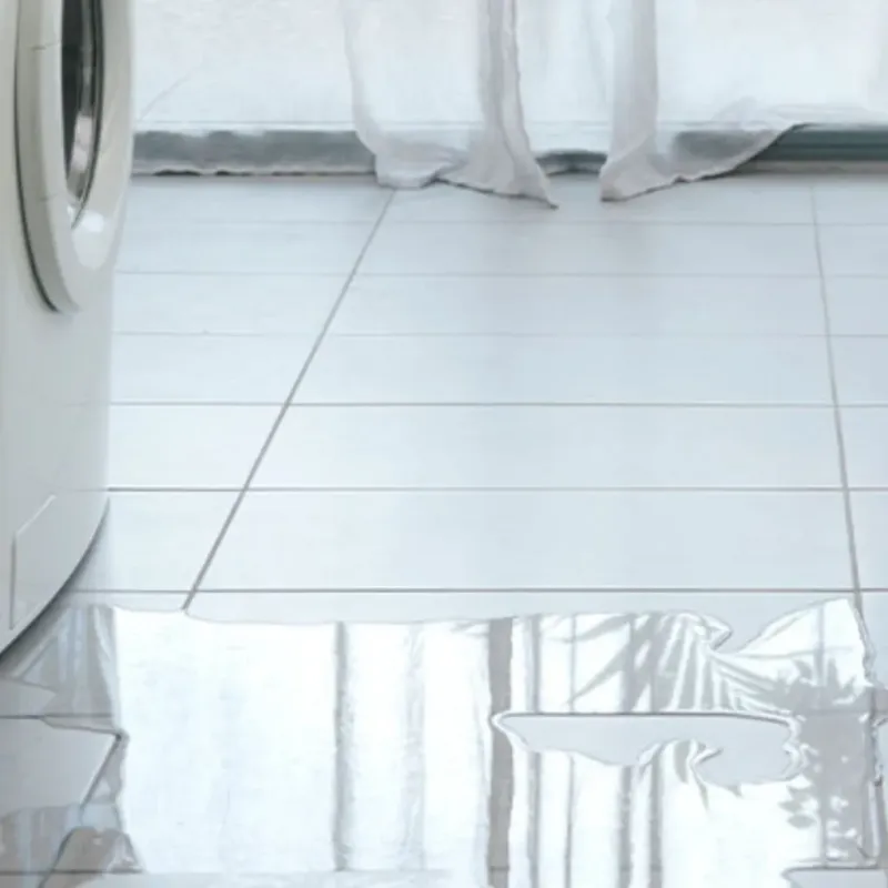 Appliance Leak Cleanup in Jamul, CA